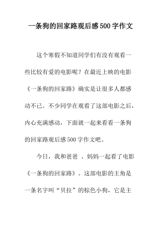 一条狗的回家路观后感500字作文