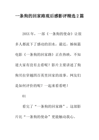 一条狗的回家路观后感影评精选2篇