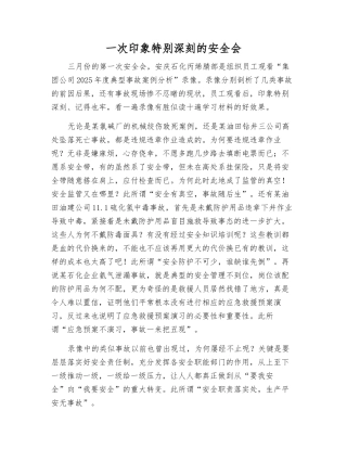 一次印象深刻的安全会