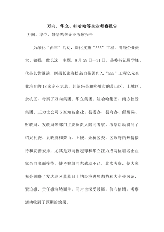 万向、华立、娃哈哈等企业考察报告