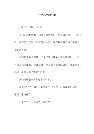 三个名字的小狗