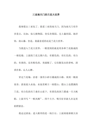 三亚南天门的兰花大世界-1