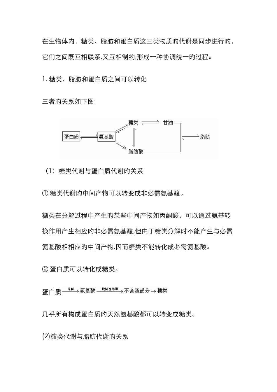 三大营养物质代谢的比较及关系_第2页