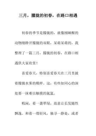 三月-朦胧的初春-在路口相遇