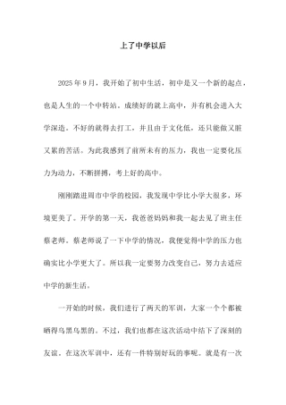 上了中学以后-9