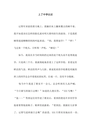 上了中学以后-2