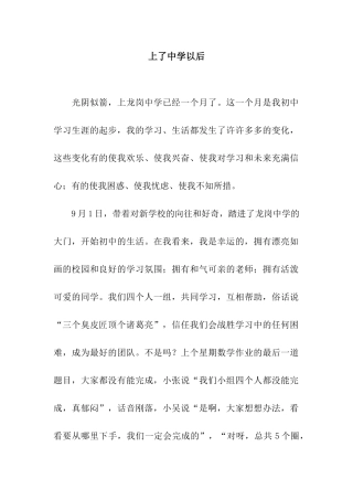 上了中学以后-7