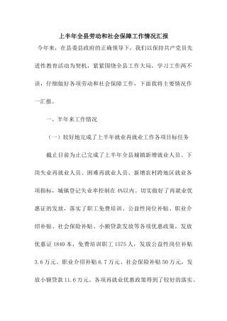 上半年全县劳动和社会保障工作情况汇报