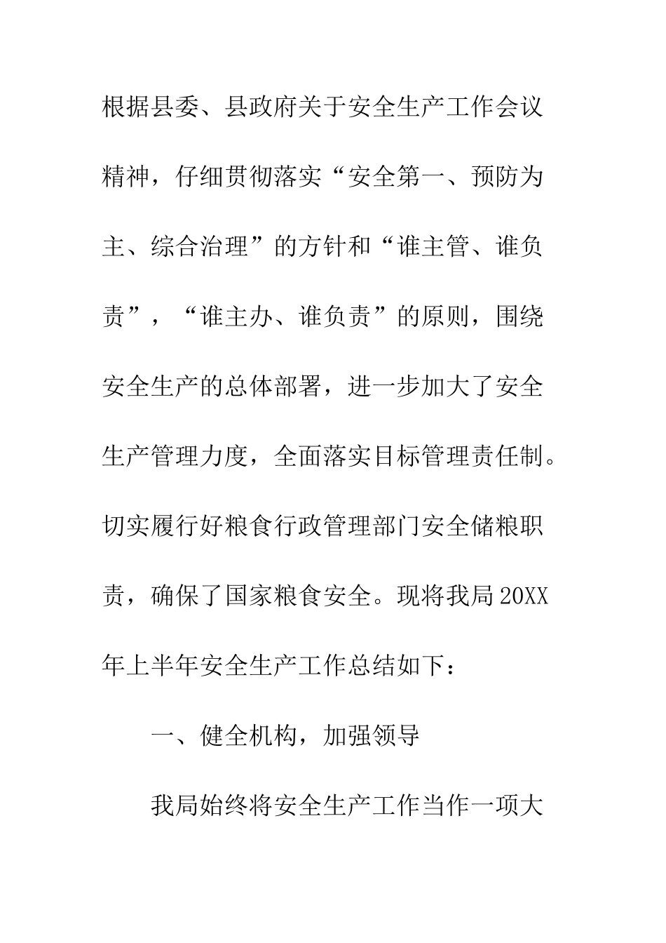 上半年粮食局安全生产工作总结_第2页