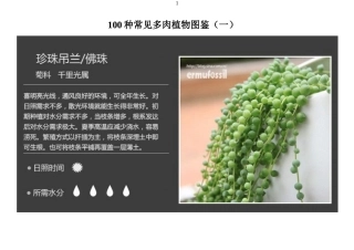 100种常见多肉植物图鉴