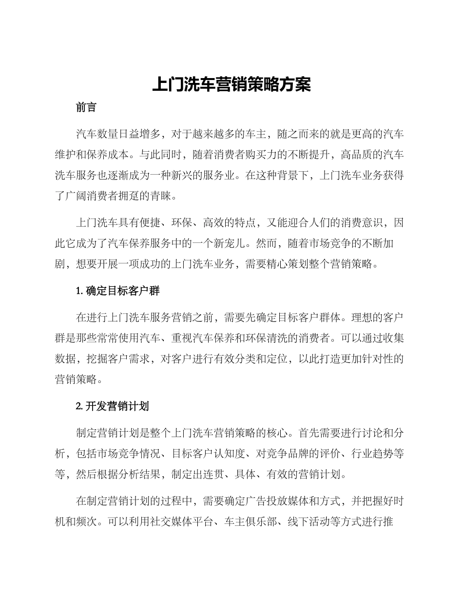 上门洗车营销策略方案_第1页