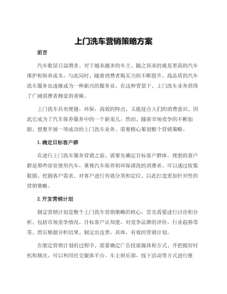 上门洗车营销策略方案
