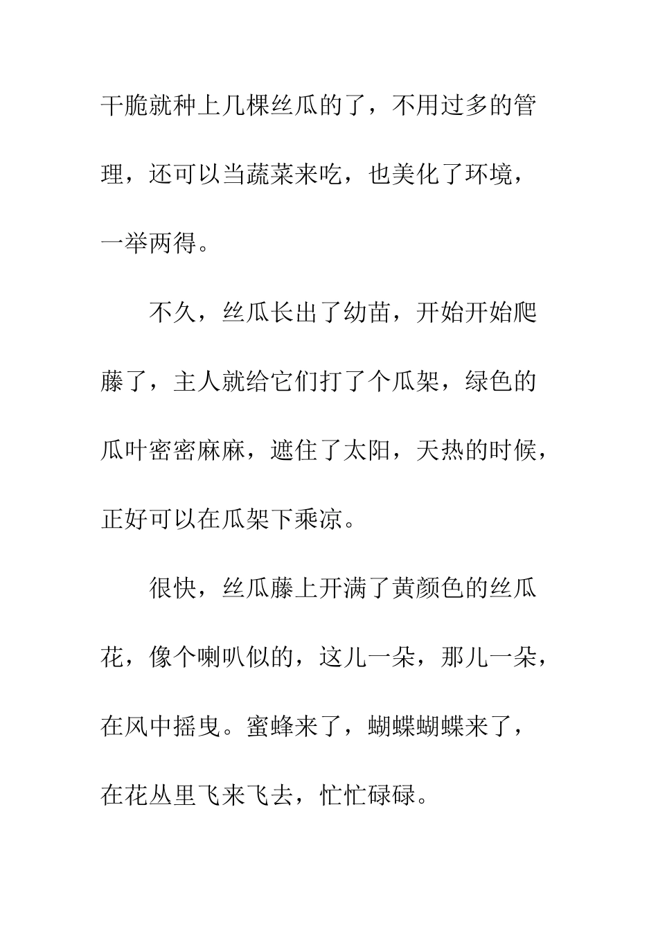 不愿被摘走的丝瓜_第2页
