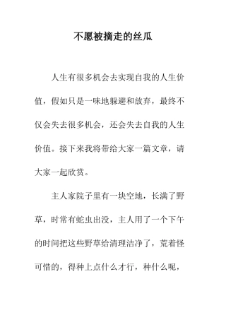 不愿被摘走的丝瓜
