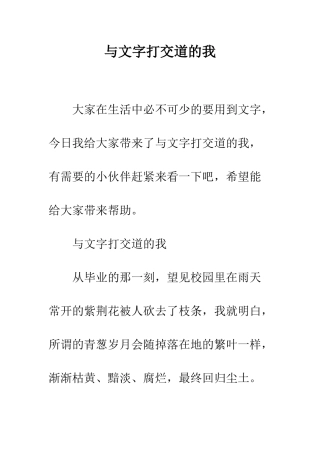 与文字打交道的我