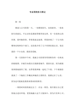 专业顶岗实习周记