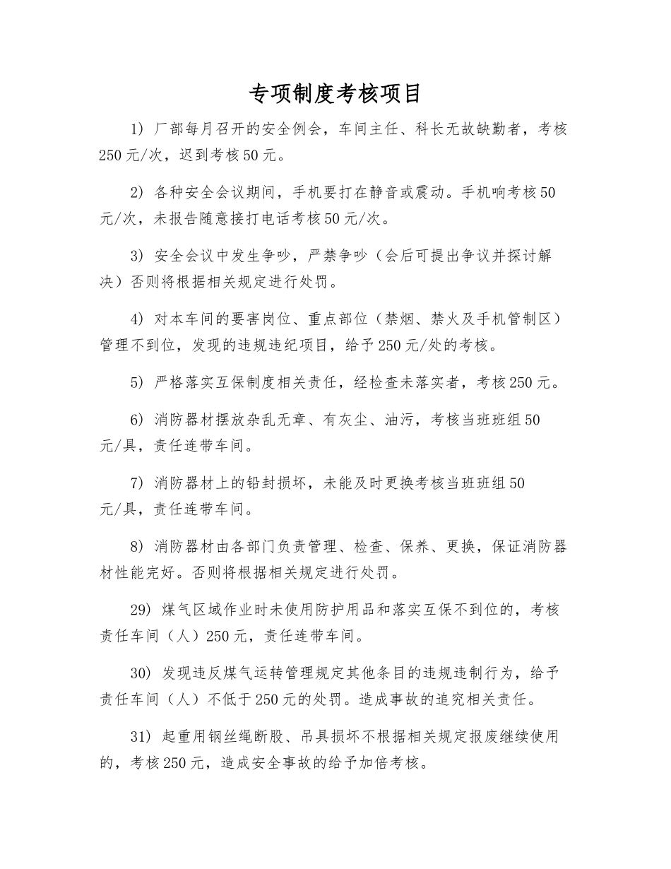 专项制度考核项目_第1页