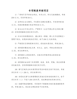 专项制度考核项目