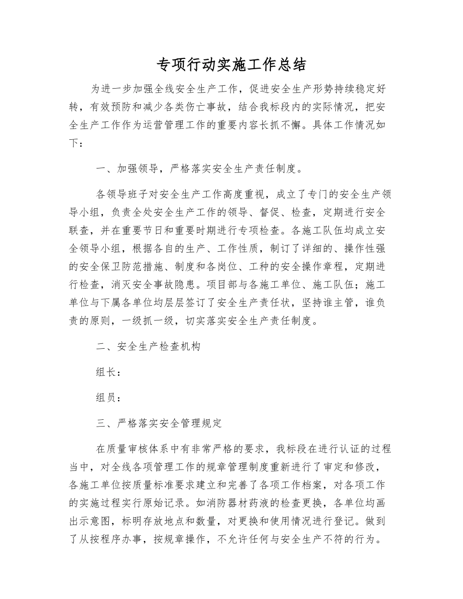 专项行动实施工作总结_第1页