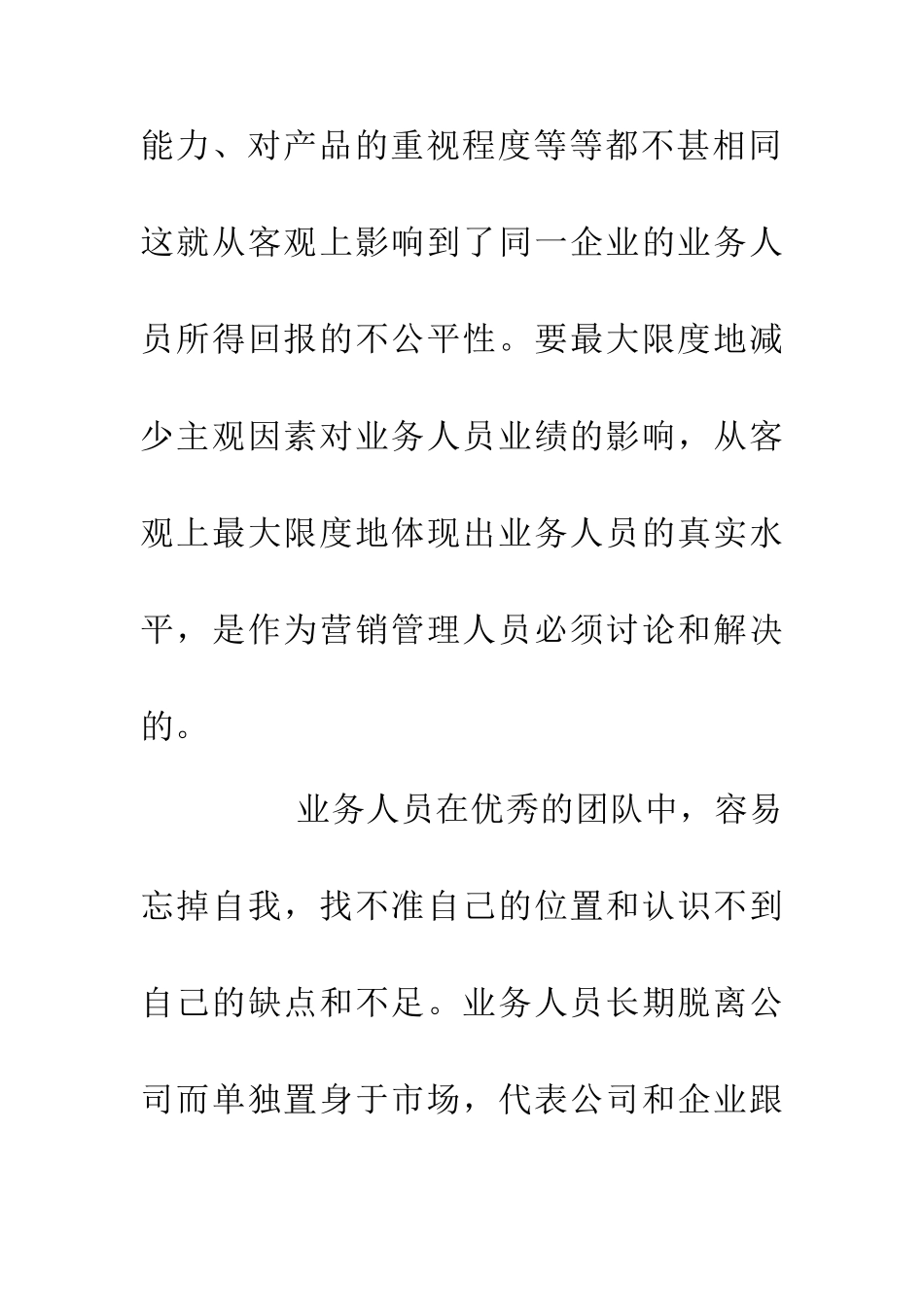 业务员市场业绩报告_第2页