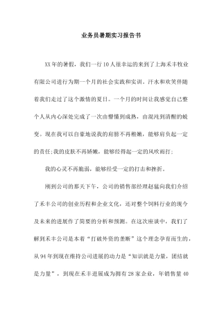 业务员暑期实习报告书