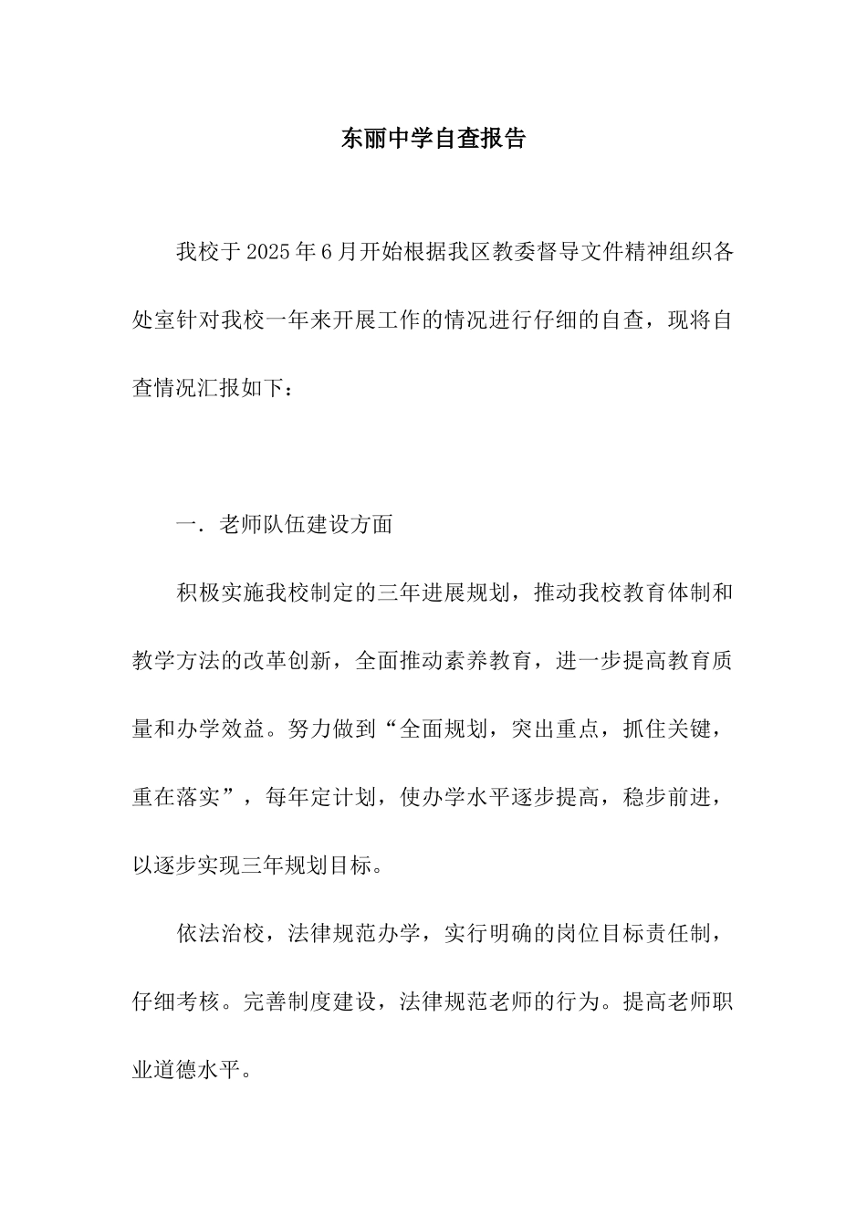 东丽中学自查报告_第1页