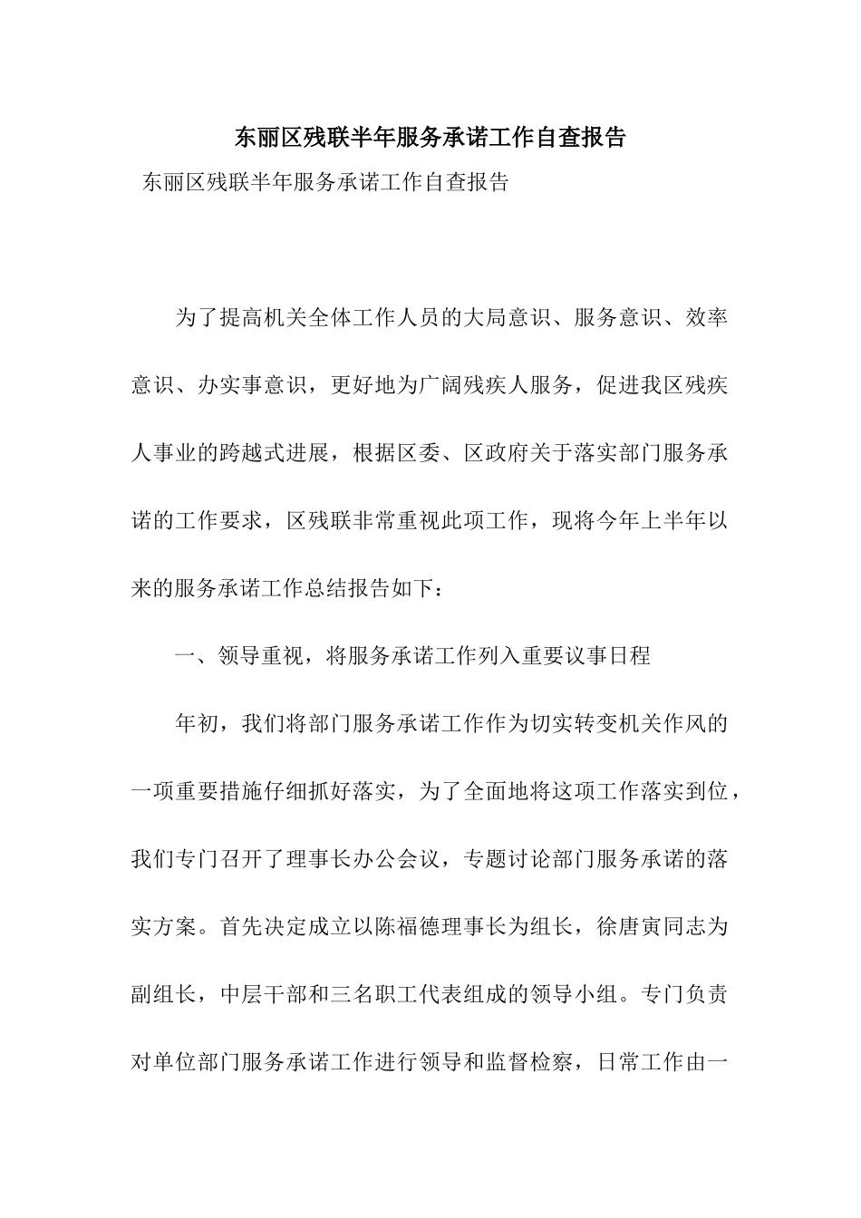 东丽区残联半年服务承诺工作自查报告_第1页