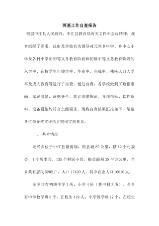 两基工作自查报告