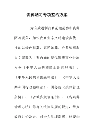 丧葬陋习专项整治方案