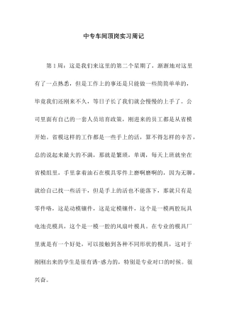 中专车间顶岗实习周记