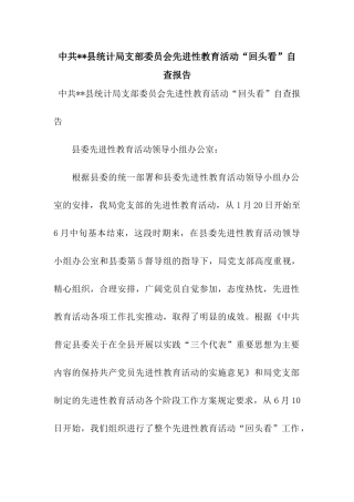 中共--县统计局支部委员会先进性教育活动“回头看”自查报告