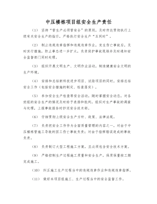 中压楼栋项目组安全生产责任