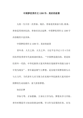 中国梦优秀作文1200字美好的前景