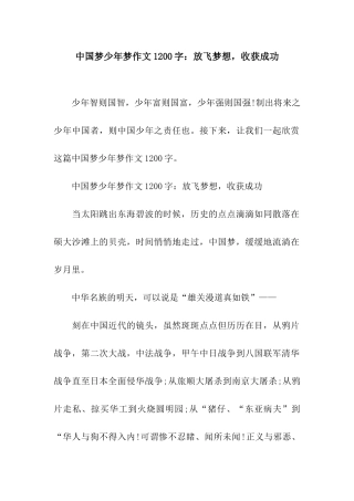中国梦少年梦作文1200字放飞梦想-收获成功