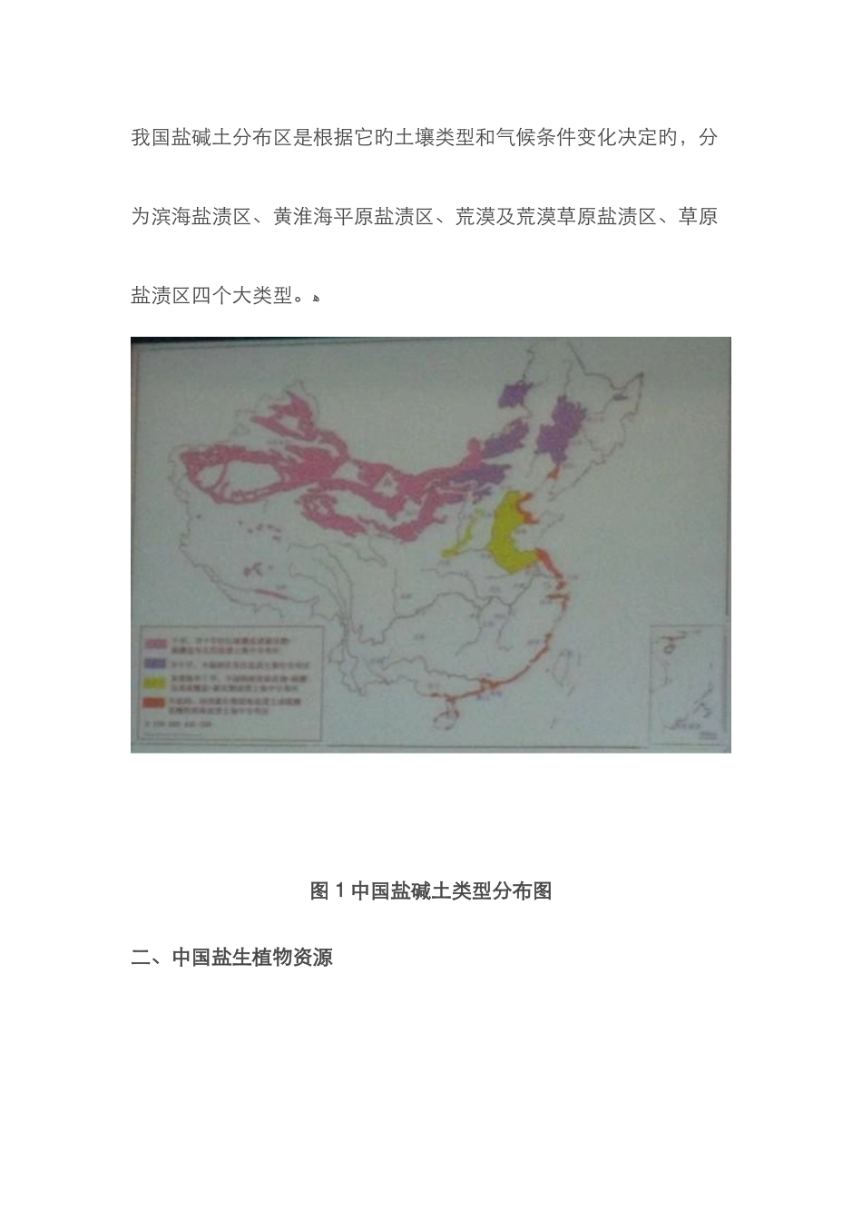 中国盐碱地分布_第3页