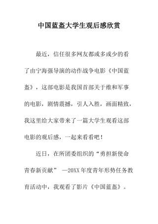 中国蓝盔大学生观后感欣赏