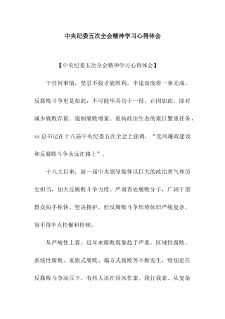 中央纪委五次全会精神学习心得体会