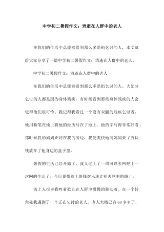 中学初二暑假作文消失在人群中的老人