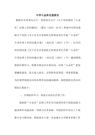 中学小金库自查报告