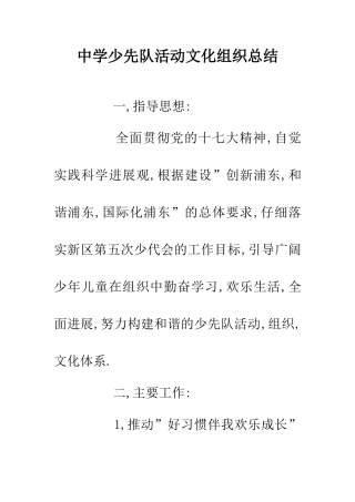 中学少先队活动文化组织总结