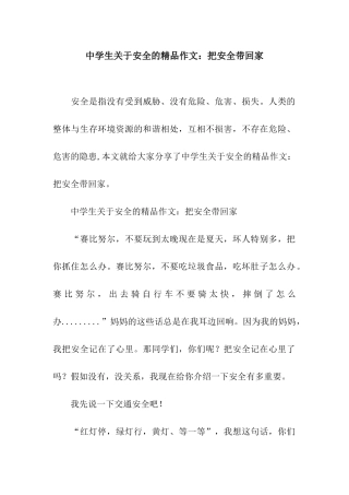 中学生关于安全的精品作文把安全带回家