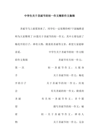 中学生关于圣诞节的初一作文精彩作文集锦