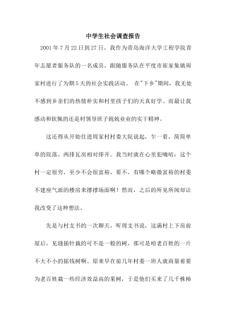 中学生社会调查报告