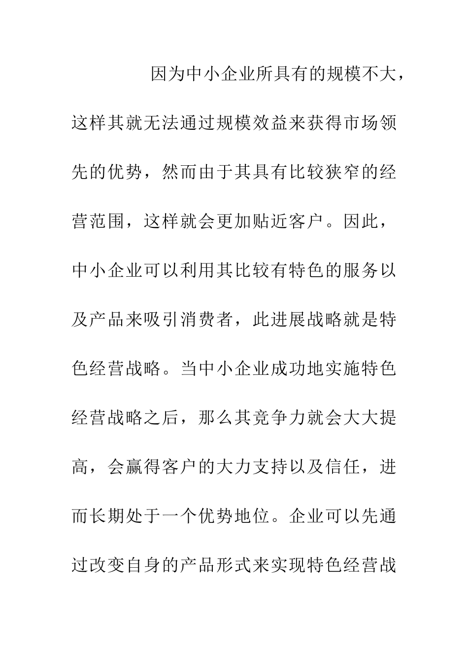 中小企业经营战略研究_第2页