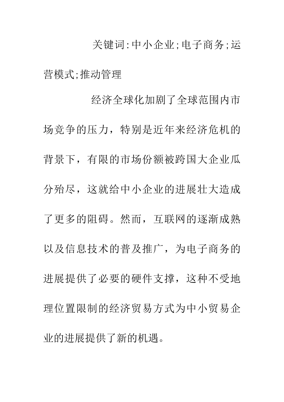 中小贸易企业电子商务运营平台管理_第2页