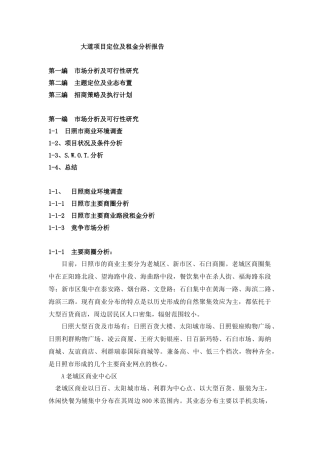 大道项目定位及租金分析报告
