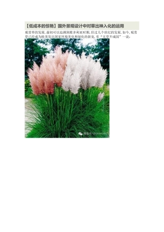 低成本的惊艳国外景观设计中对草出神入化的运用