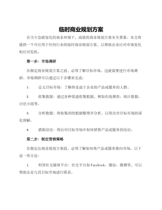 临时商业规划方案