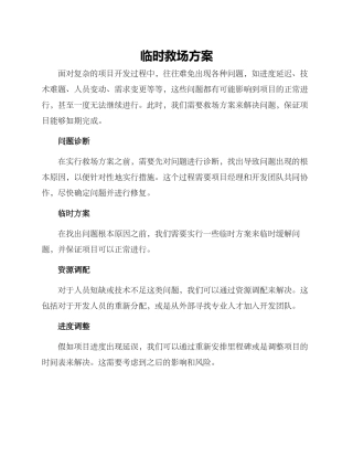 临时救场方案
