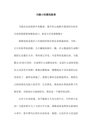 为微小的美丽鼓掌